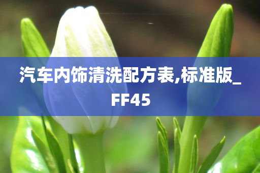 汽车内饰清洗配方表,标准版_FF45