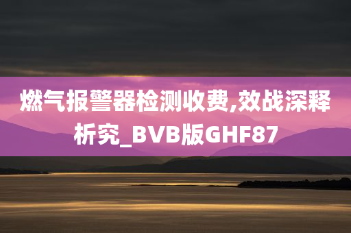 燃气报警器检测收费,效战深释析究_BVB版GHF87