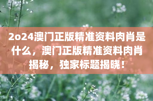 2o24澳门正版精准资料肉肖是什么，澳门正版精准资料肉肖揭秘，独家标题揭晓！