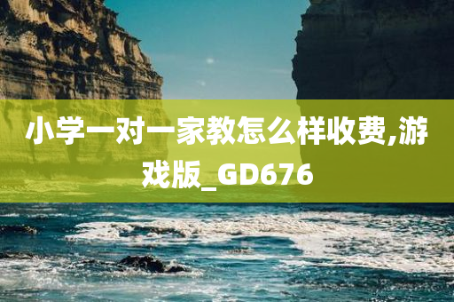 小学一对一家教怎么样收费,游戏版_GD676