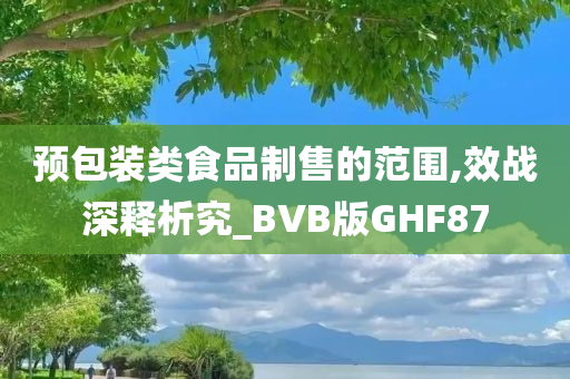 预包装类食品制售的范围,效战深释析究_BVB版GHF87