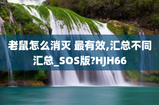 taohe 第95页