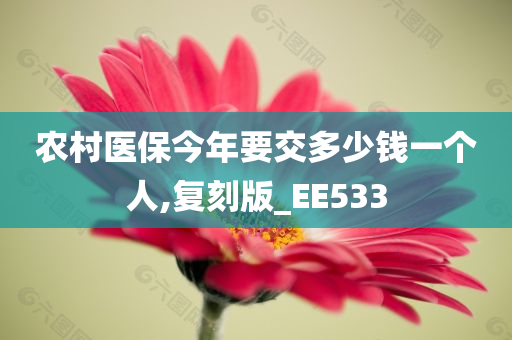 农村医保今年要交多少钱一个人,复刻版_EE533