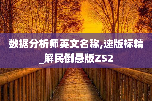 数据分析师英文名称,速版标精_解民倒悬版ZS2