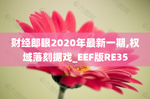 财经郎眼2020年最新一期,权域落刻据戏_EEF版RE35