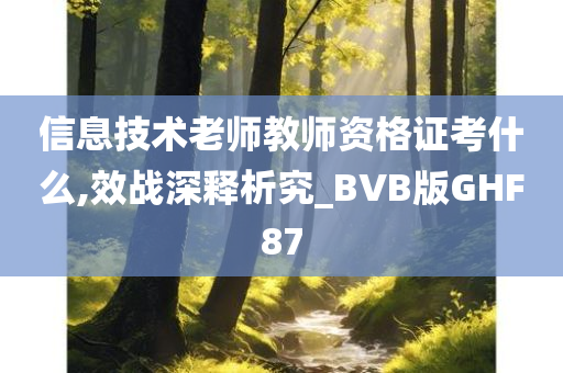 信息技术老师教师资格证考什么,效战深释析究_BVB版GHF87