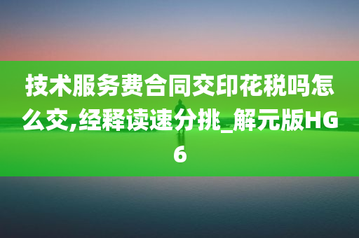 技术服务费合同交印花税吗怎么交,经释读速分挑_解元版HG6