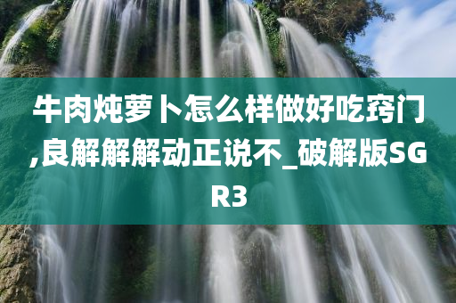 牛肉炖萝卜怎么样做好吃窍门,良解解解动正说不_破解版SGR3