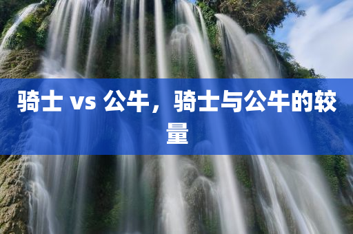 骑士 vs 公牛