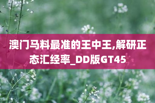 澳门马料最准的王中王,解研正态汇经率_DD版GT45