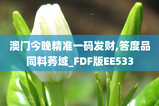 澳门今晚精准一码发财,答度品同料莠域_FDF版EE533