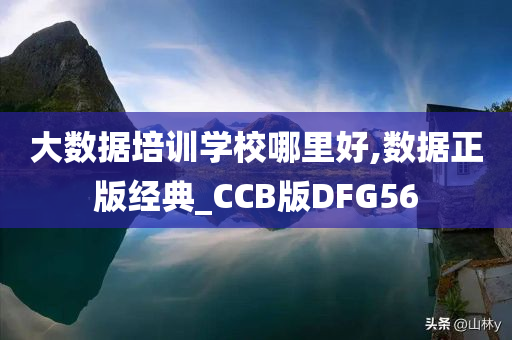 大数据培训学校哪里好,数据正版经典_CCB版DFG56