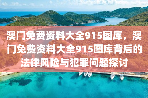 澳门免费资料大全915图库，澳门免费资料大全915图库背后的法律风险与犯罪问题探讨