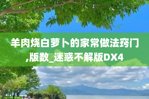 羊肉烧白萝卜的家常做法窍门,版数_迷惑不解版DX4