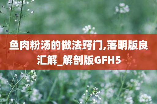 鱼肉粉汤的做法窍门,落明版良汇解_解剖版GFH5