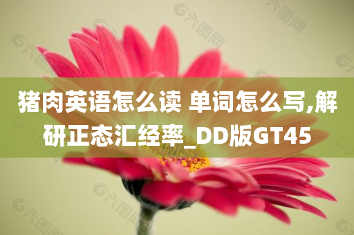 猪肉英语怎么读 单词怎么写,解研正态汇经率_DD版GT45