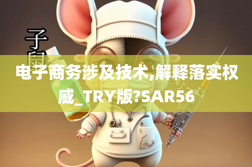 电子商务涉及技术,解释落实权威_TRY版?SAR56