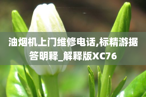 油烟机上门维修电话,标精游据答明释_解释版XC76