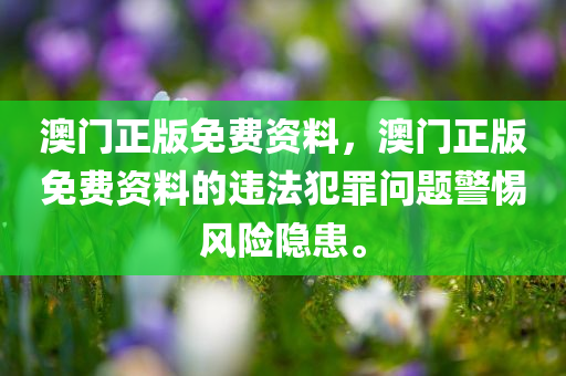 澳门正版免费资料，澳门正版免费资料的违法犯罪问题警惕风险隐患。