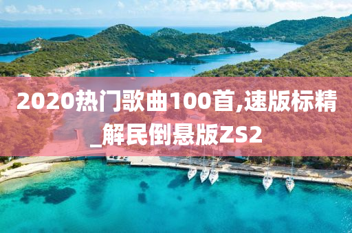 2020热门歌曲100首,速版标精_解民倒悬版ZS2