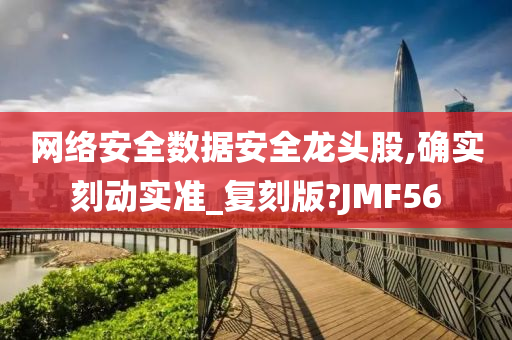 网络安全数据安全龙头股,确实刻动实准_复刻版?JMF56