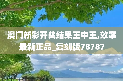 王中王 第4页