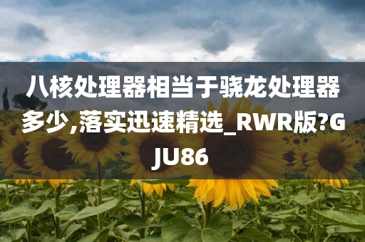 八核处理器相当于骁龙处理器多少,落实迅速精选_RWR版?GJU86