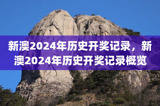 新澳2024年历史开奖记录，新澳2024年历史开奖记录概览