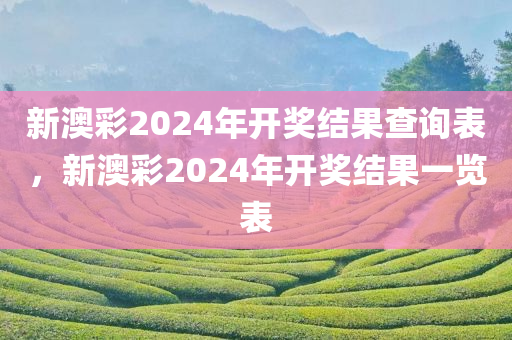 新澳彩2024年开奖结果查询表