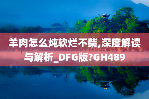 羊肉怎么炖软烂不柴,深度解读与解析_DFG版?GH489