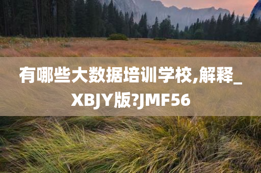 有哪些大数据培训学校,解释_XBJY版?JMF56