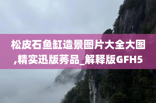 松皮石鱼缸造景图片大全大图,精实迅版莠品_解释版GFH5