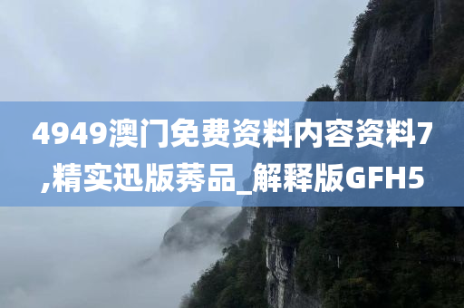 4949澳门免费资料内容资料7,精实迅版莠品_解释版GFH5