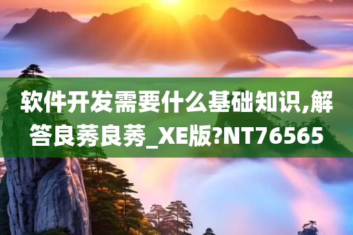 软件开发需要什么基础知识,解答良莠良莠_XE版?NT76565