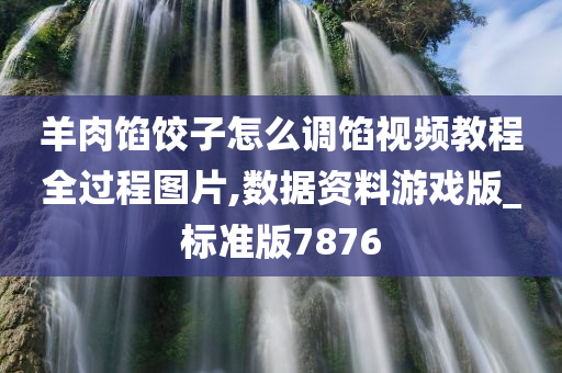 羊肉馅饺子怎么调馅视频教程全过程图片,数据资料游戏版_标准版7876