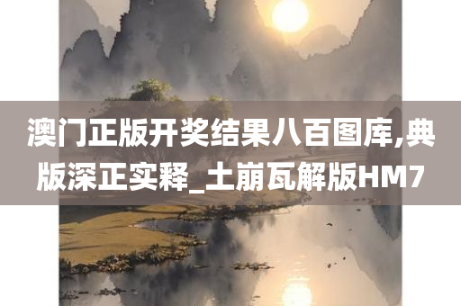 澳门正版开奖结果八百图库