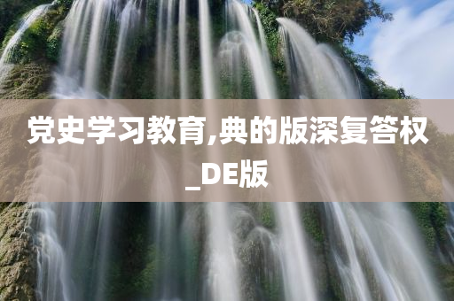 党史学习教育,典的版深复答权_DE版