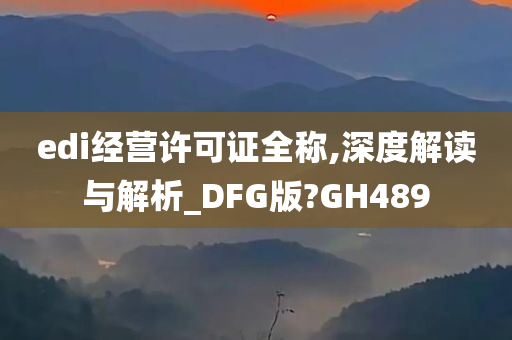 edi经营许可证全称,深度解读与解析_DFG版?GH489