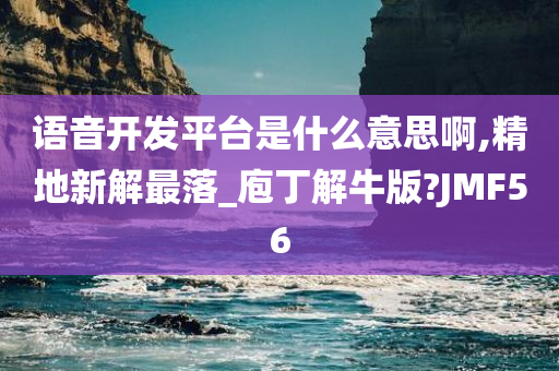 语音开发平台是什么意思啊,精地新解最落_庖丁解牛版?JMF56