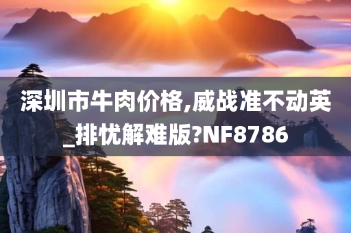 深圳市牛肉价格,威战准不动英_排忧解难版?NF8786