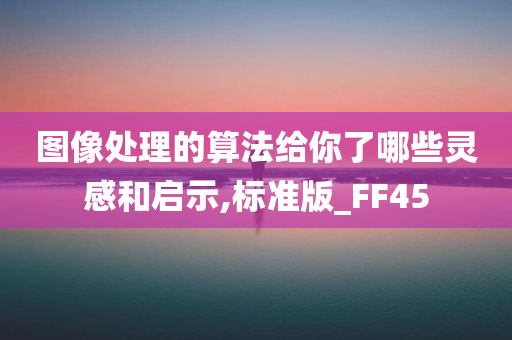 图像处理的算法给你了哪些灵感和启示,标准版_FF45