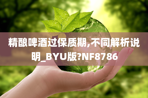 精酿啤酒过保质期,不同解析说明_BYU版?NF8786