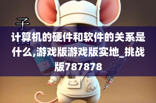 计算机的硬件和软件的关系是什么,游戏版游戏版实地_挑战版787878