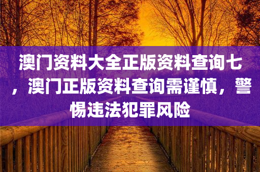 澳门资料大全正版资料查询七，澳门正版资料查询需谨慎，警惕违法犯罪风险