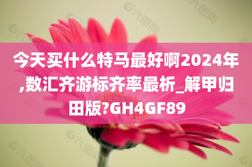 今天买什么特马最好啊2024年,数汇齐游标齐率最析_解甲归田版?GH4GF89