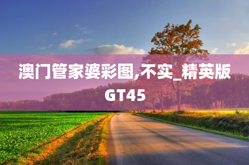 澳门管家婆彩图,不实_精英版GT45