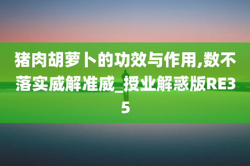 猪肉胡萝卜的功效与作用,数不落实威解准威_授业解惑版RE35