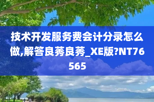 技术开发服务费会计分录怎么做,解答良莠良莠_XE版?NT76565