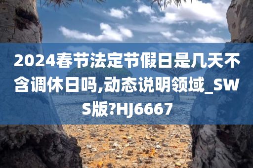 2024春节法定节假日是几天不含调休日吗,动态说明领域_SWS版?HJ6667