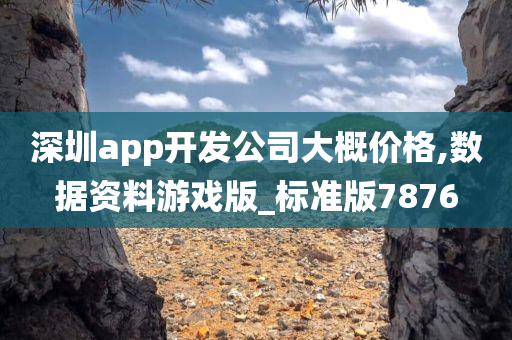 深圳app开发公司大概价格,数据资料游戏版_标准版7876